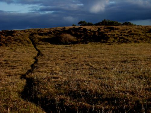 Fotografia de Ricardo Jara - Galeria Fotografica: Rapa Nui - Foto: 