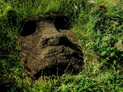 Fotografia de Ricardo Jara - Galeria Fotografica: Rapa Nui - Foto: 