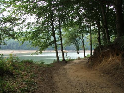 Fotografia de Marcos Osorio - Galeria Fotografica: Naturaleza - Foto: El camino