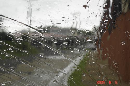 Fotografia de Eric - Galeria Fotografica: Naturaleza - Foto: Parabrisas