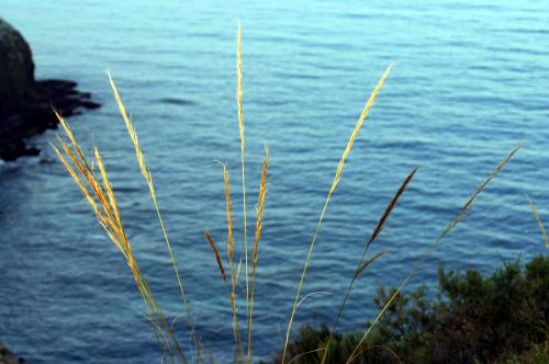 Fotografia de Josema - Galeria Fotografica: Pinceladas - Foto: Mirador