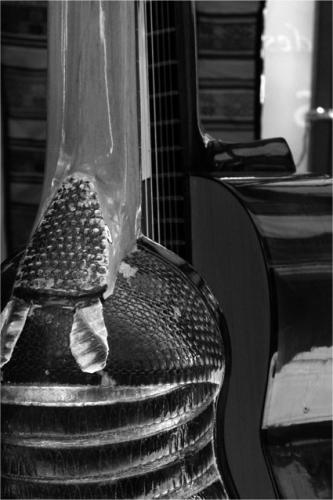 Fotografia de anitex - Galeria Fotografica: iniciaci�n - Foto: Charangos Magicos