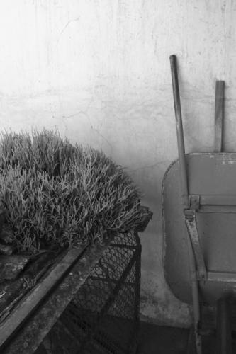 Fotografia de anitex - Galeria Fotografica: iniciacin - Foto: carr