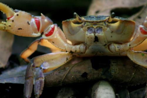 Fotografia de Albizu - Galeria Fotografica: VIAJANDO... - Foto: en combate...