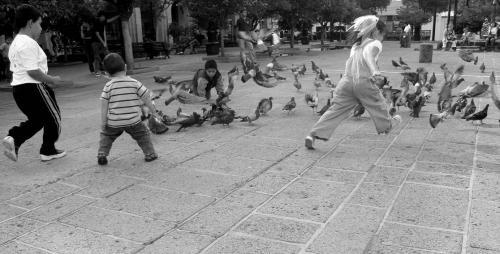 Fotografia de Yessica - Galeria Fotografica: Guadalajara - Foto: Juegos..