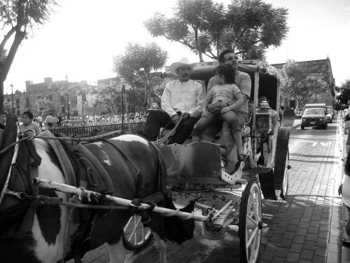 Fotografia de Yessica - Galeria Fotografica: Guadalajara - Foto: Calandria