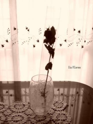 Fotografia de Eba RGamee - Galeria Fotografica: Rarerah - Foto: Iluzioneh amortahh