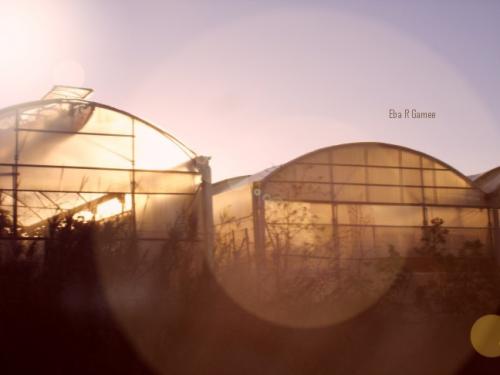 Fotografia de Eba RGamee - Galeria Fotografica: Paizaheh dAndaluza - Foto: Inbernaero