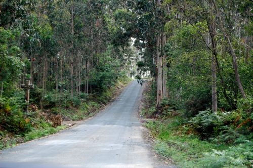 Fotografia de Akira Woman - Galeria Fotografica: Mis Fotografias - Foto: 