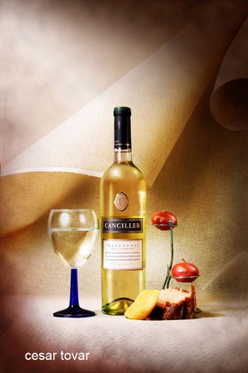 Fotografia de Cesar Tovar - Galeria Fotografica: VARIOS - Foto: bodegon botella