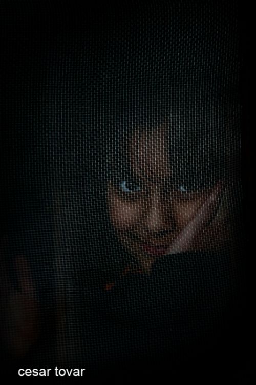 Fotografia de Cesar Tovar - Galeria Fotografica: VARIOS - Foto: nia