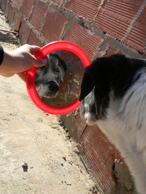 Fotografia de Alicia en el pa�s - Galeria Fotografica: Photoland - Foto: Jacki y su otro yo