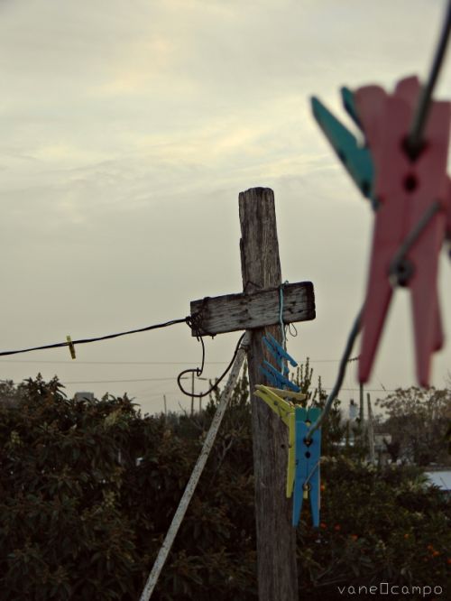 Fotografia de Alicia en el pas - Galeria Fotografica: Photoland - Foto: 