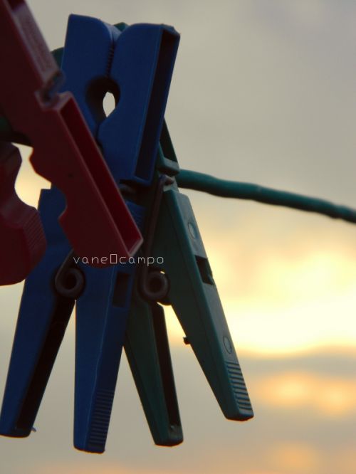 Fotografia de Alicia en el pa�s - Galeria Fotografica: Photoland - Foto: 