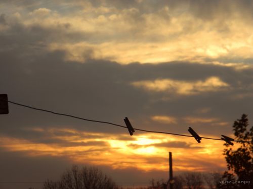 Fotografia de Alicia en el pas - Galeria Fotografica: Photoland - Foto: 