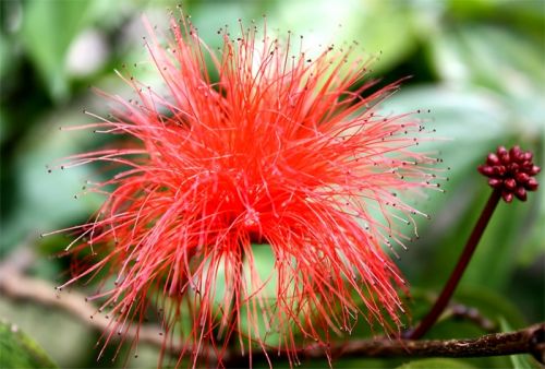 Fotografia de FH Studio - Galeria Fotografica: Personales - Foto: 