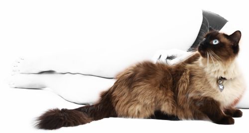 Fotografia de FH Studio - Galeria Fotografica: Personales - Foto: 