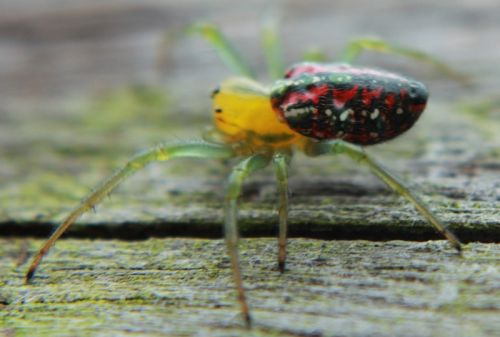 Fotografia de FH Studio - Galeria Fotografica: Personales - Foto: 
