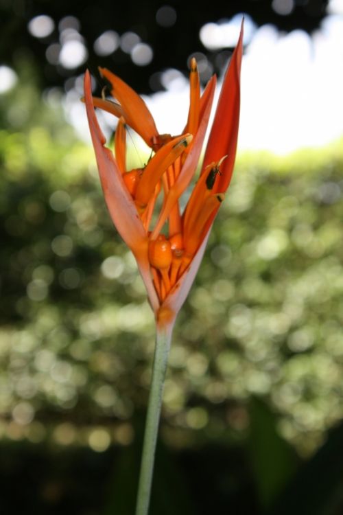 Fotografia de FH Studio - Galeria Fotografica: Personales - Foto: 