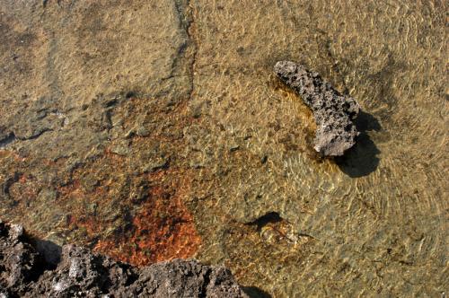 Fotografia de Ernest - Galeria Fotografica: estiu 05 - Foto: 