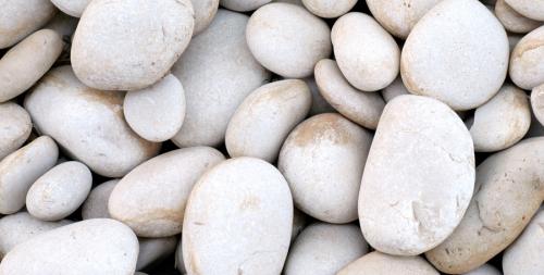 Fotografia de Ernest - Galeria Fotografica: estiu 05 - Foto: 