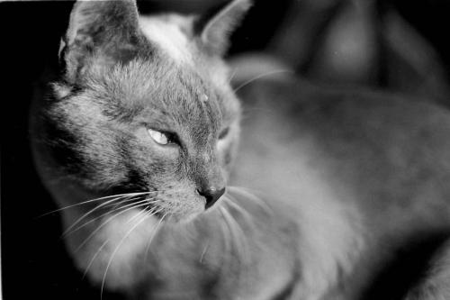 Fotografia de Diego Edelstein - Galeria Fotografica: 