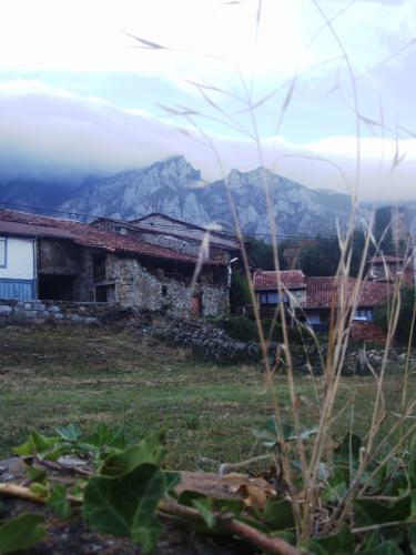 Fotografia de willchebat - Galeria Fotografica: Cantabria - Foto: La espiga