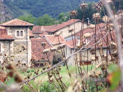 Fotografia de willchebat - Galeria Fotografica: Cantabria - Foto: Entre la maleza