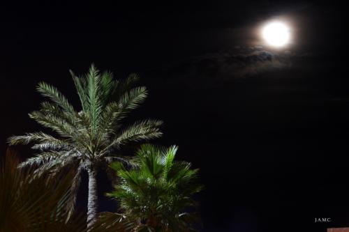 Fotografia de Jose Angel - Galeria Fotografica: NATURALEZA - Foto: LUZ DE LUNA