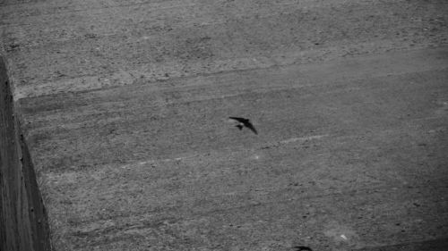 Fotografia de Nichamer - Galeria Fotografica: Embalse de Caballers - Foto: 