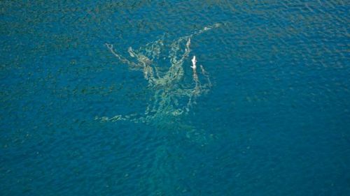 Fotografia de Nichamer - Galeria Fotografica: Embalse de Caballers - Foto: Resistencia