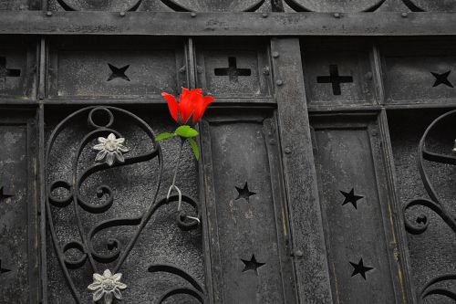 Fotografia de Emilia Seoane - Galeria Fotografica: Requiem - Foto: 