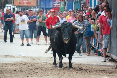 Fotografia de Mc - Galeria Fotografica: 2012 - Foto: 