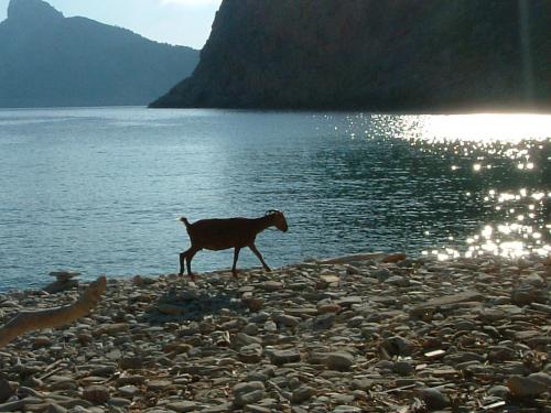 Fotografia de Flax Producci - Galeria Fotografica: Marinas - Foto: 