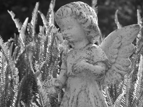 Fotografia de Gerardo Garca Marcano - Galeria Fotografica: La ultima morada - Foto: Angel de la guarda