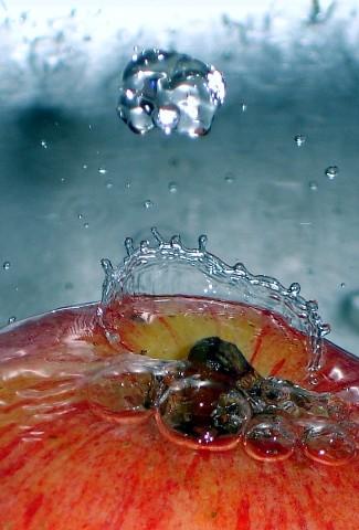 Fotografia de sersos - Galeria Fotografica: Colorfull-Colorless - Foto: Megagotas