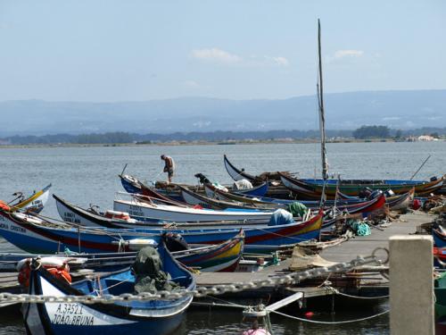 Fotografia de Amets - Galeria Fotografica: Portugal - Foto: Torreira (Portugal)