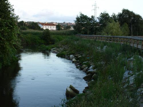 Fotografia de Amets - Galeria Fotografica: Portugal - Foto: Estarreja
