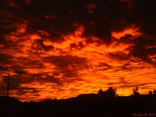 Fotografia de David Guijarro - Galeria Fotografica: Regalo - Foto: Fuego arrriba