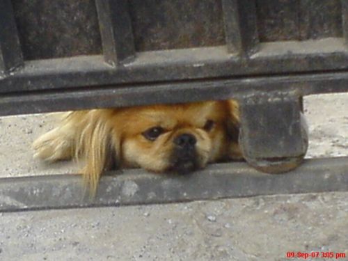 Fotografia de David Guijarro - Galeria Fotografica: Pop-pop-popular - Foto: Nostalgia