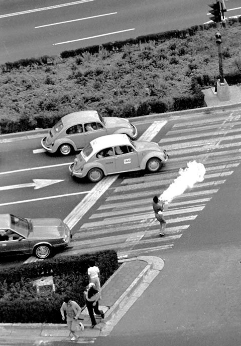 Fotografia de Visor  4 - Galeria Fotografica:  En   B & N - Foto: Dragones serie 1