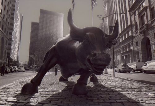 Fotografia de John Cocosa - Galeria Fotografica: panoramio - Foto: bull