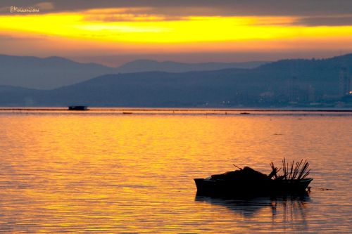 Fotografia de Mireia Canicio Ena - Galeria Fotografica: FOTOGRAFIA Y LUZ - Foto: 