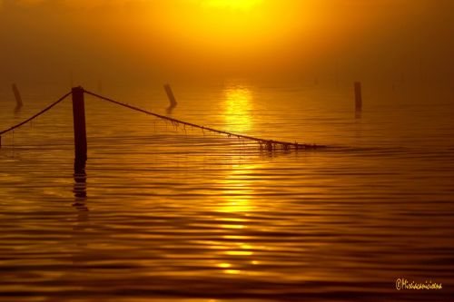 Fotografia de Mireia Canicio Ena - Galeria Fotografica: FOTOGRAFIA Y LUZ - Foto: 