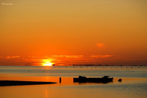 Fotografia de Mireia Canicio Ena - Galeria Fotografica: FOTOGRAFIA Y LUZ - Foto: 