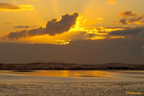 Fotografia de Mireia Canicio Ena - Galeria Fotografica: FOTOGRAFIA Y LUZ - Foto: 