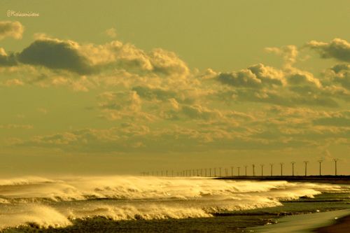 Fotografia de Mireia Canicio Ena - Galeria Fotografica: FOTOGRAFIA Y LUZ - Foto: 