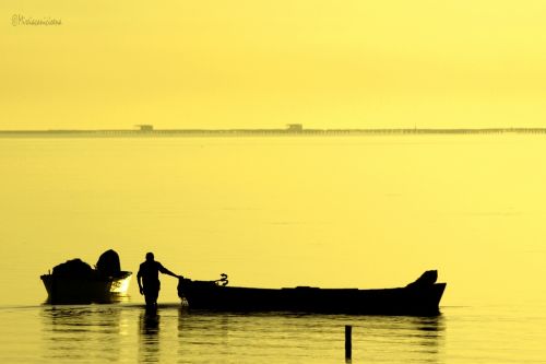 Fotografia de Mireia Canicio Ena - Galeria Fotografica: FOTOGRAFIA Y LUZ - Foto: 