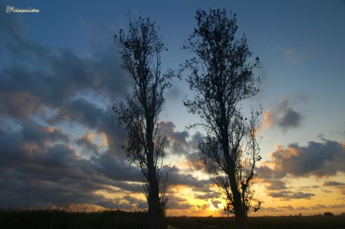 Fotografia de Mireia Canicio Ena - Galeria Fotografica: FOTOGRAFIA Y LUZ - Foto: 