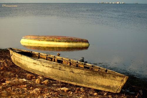 Fotografia de Mireia Canicio Ena - Galeria Fotografica: FOTOGRAFIA Y LUZ - Foto: 